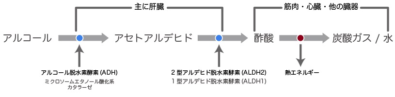 f:id:cloudsalon:20200218112909j:plain