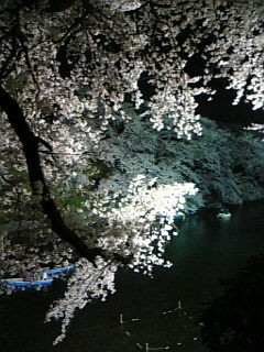 20080402184729