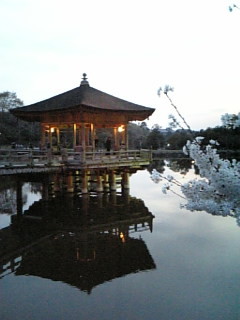 f:id:cloudy-is:20080405183300j:image