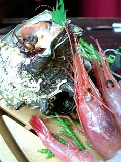 20080503133245
