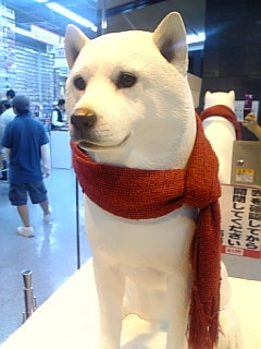 f:id:cloudy-is:20081011170842j:image