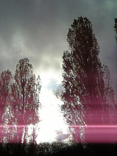 f:id:cloudy-is:20081116143639j:image