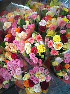 f:id:cloudy-is:20090503093418j:image