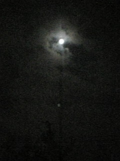f:id:cloudy-is:20091003210152j:image