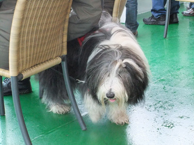 f:id:cloudy-is:20101020205505j:image