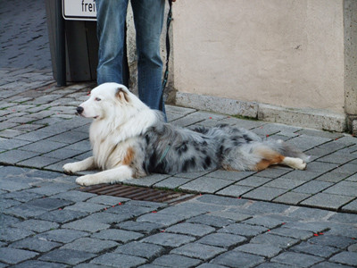 f:id:cloudy-is:20101020205654j:image