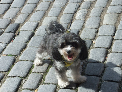 f:id:cloudy-is:20101020205748j:image