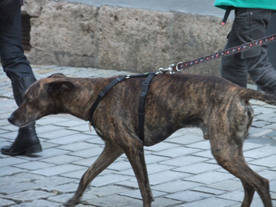 f:id:cloudy-is:20101020210009j:image