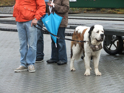 f:id:cloudy-is:20101020211117j:image