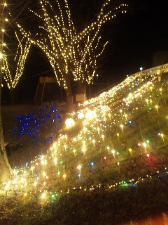 f:id:cloudy-is:20101229201526j:image