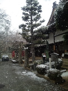 f:id:cloudy-is:20101230123222j:image