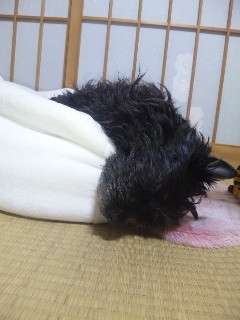 f:id:cloudy-is:20110430213306j:image