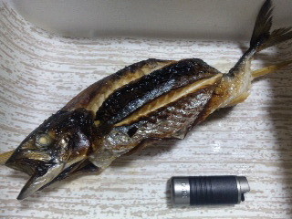 f:id:cloudy-is:20110601202937j:image