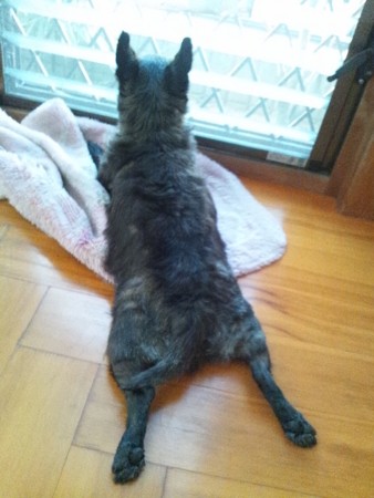 f:id:cloudy-is:20110913163048j:image