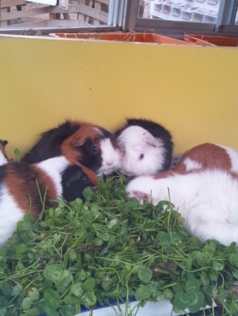 f:id:cloudy-is:20111029143029j:image