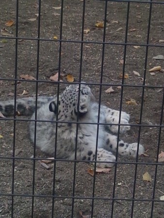 f:id:cloudy-is:20111029145412j:image