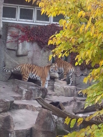 f:id:cloudy-is:20111029145952j:image