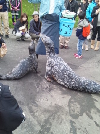 f:id:cloudy-is:20111029151529j:image