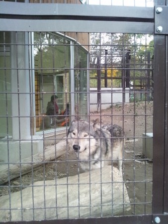 f:id:cloudy-is:20111029152749j:image