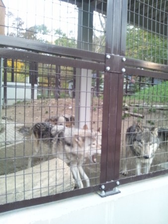 f:id:cloudy-is:20111029153201j:image