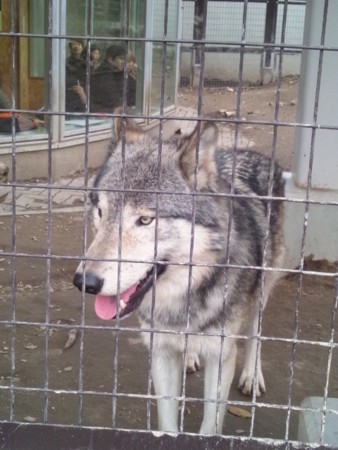 f:id:cloudy-is:20111029153403j:image