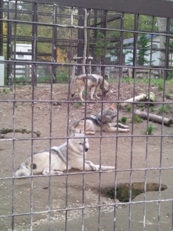 f:id:cloudy-is:20111029153422j:image