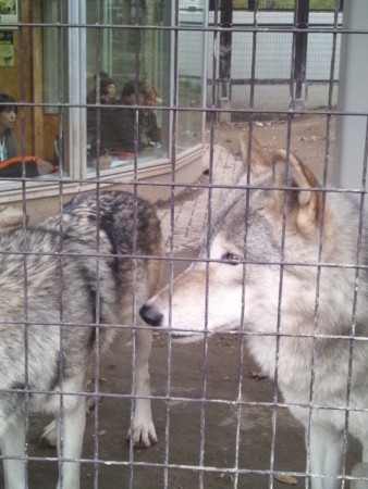 f:id:cloudy-is:20111029153454j:image