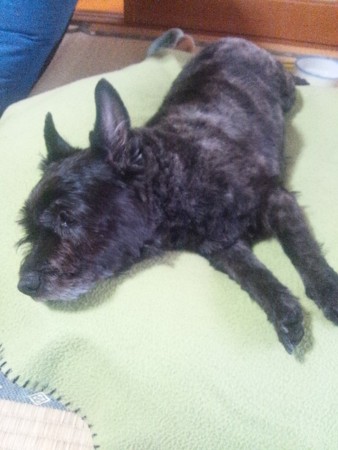 f:id:cloudy-is:20120502084648j:image