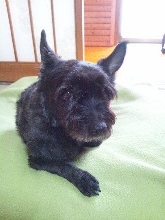 f:id:cloudy-is:20120503084505j:image