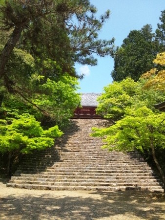 f:id:cloudy-is:20120505114432j:image