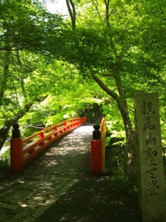 f:id:cloudy-is:20120505124007j:image