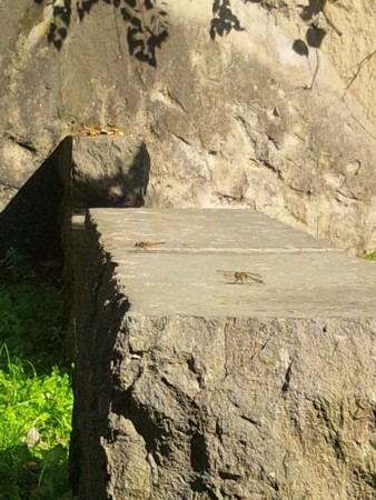 f:id:cloudy-is:20121001131121j:image