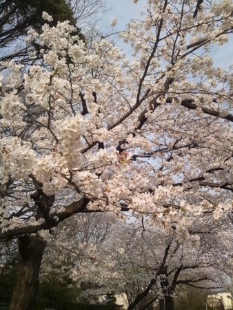 20130324155539