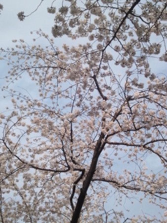 20130324155612