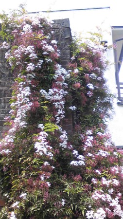 f:id:cloudy-is:20130516105400j:image