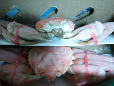 f:id:cloudy-is:20131230090350j:image