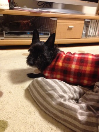 f:id:cloudy-is:20140110082213j:image