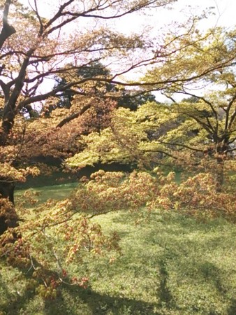 f:id:cloudy-is:20140405145508j:image