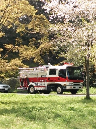 f:id:cloudy-is:20140405145702j:image