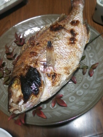 f:id:cloudy-is:20150101080159j:image