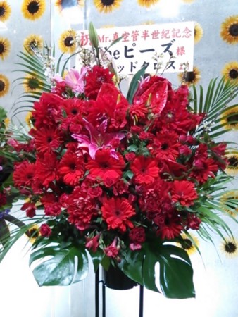 f:id:cloudy-is:20150417212612j:image