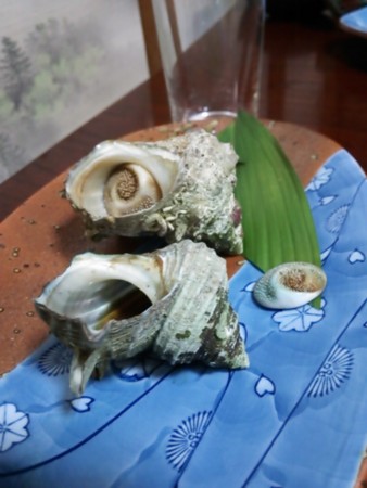 f:id:cloudy-is:20150503183141j:image