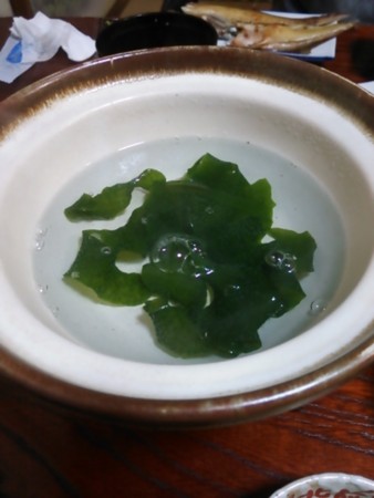 f:id:cloudy-is:20150504080516j:image