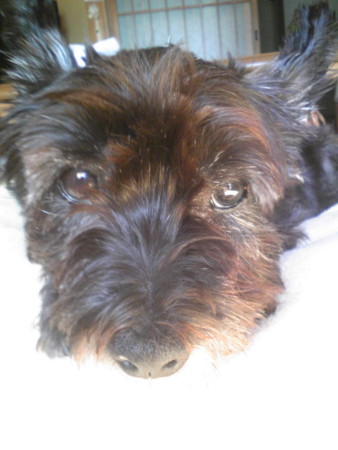 f:id:cloudy-is:20151018101900j:image