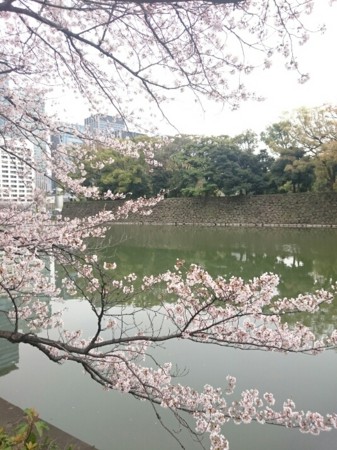 f:id:cloudy-is:20160403223015j:image