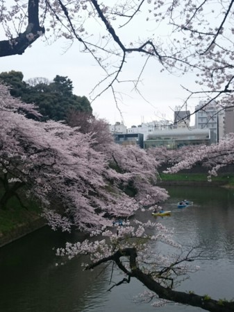 f:id:cloudy-is:20160403223018j:image