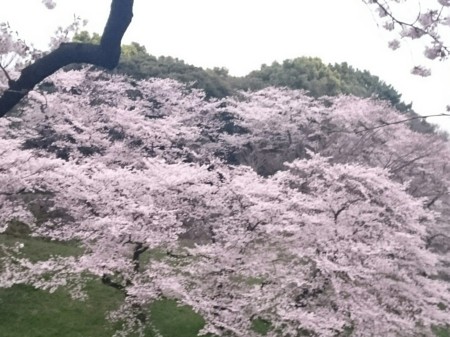 f:id:cloudy-is:20160403223020j:image