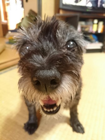 f:id:cloudy-is:20160818212719j:image