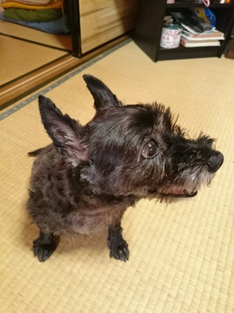 f:id:cloudy-is:20160818212721j:image