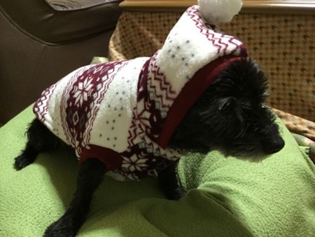 f:id:cloudy-is:20180203203954j:plain